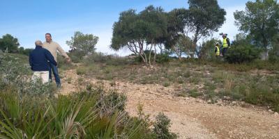 Comencen treballs forestals a la zona de l'Ermita i edificacions properes