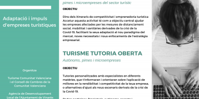 Programas en línea 2020