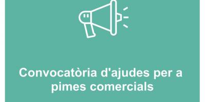 Subvencions-generalitat