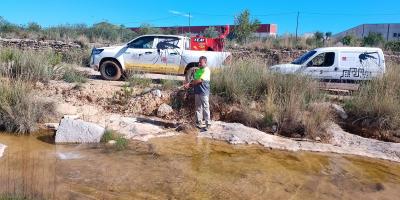 Tractaments Mosquits