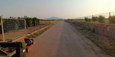 Desbrossament Camins